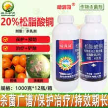 ���u̩����M�@20%��֬���~ˮ�鄩�����ЙC�~�������rș