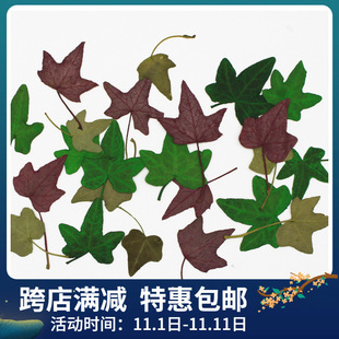 ������ �ɻ�Ѻ�� �֙C�� ֲ��˱��̌WDIY �ֹ���ͯ��� �����