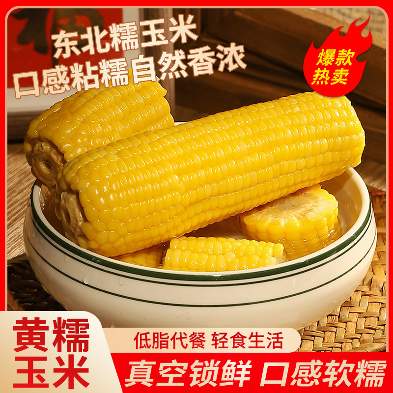 直供东北黄糯玉米代发糯玉米当季新鲜粘玉米正宗农家香糯黏玉米