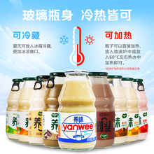 养味牛奶220g*6瓶饮品乳酸菌芒果草莓香蕉整箱15瓶学生早餐奶饮料