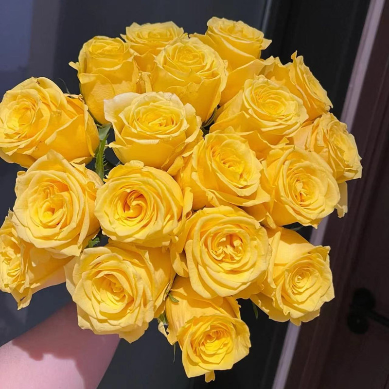 e29d3bc0bc2bf5df1b0f338c4f1d1e