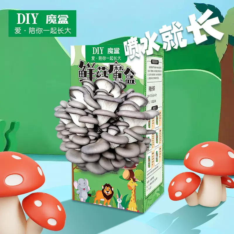 蘑菇盒子菌包菌棒种植家用学校奖礼品幼儿园厨房植物盲盒多肉福利