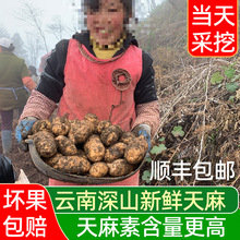 ���r����������ͨ�Ǹɞ�Ұ���ؼ���ș�ķ�Ƭ���ٷ���Ş��