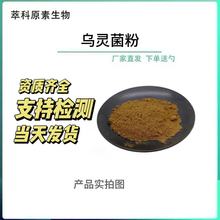 乌灵菌粉 乌灵参提取物 欣禄供应 乌灵菌萃取粉 1KG起订 包邮