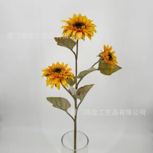 �����＾���տ� ����ɫϵ �ҾӘӰ��g��c�zӰ�b����l��c���滨