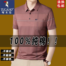 ��ľ�B͸�����t����ʿ�����e������ְַ��Ipolo��
