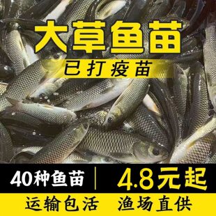 .���|����~�絭ˮ�Bֳ�~����w����~�Ĵ���~�a�~�绨���~����.