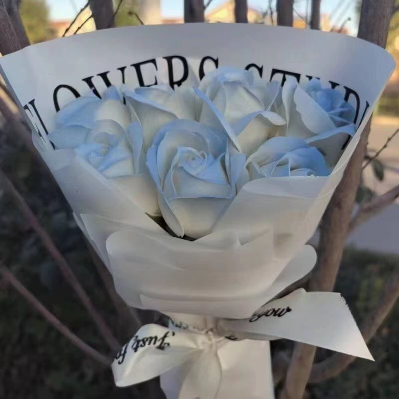 黒梅ソース、バラの花束、彼女へのバレンタインデーギフト、彼氏への誕生日プレゼント、ソーププリザーブドフラワー完成品|undefined