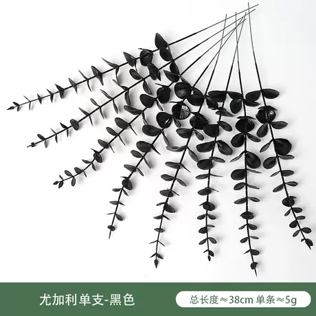 Eucalyptus Single-Black