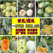 ������ձ��������һƷ�����½����ܹϽ������S���۸��N������