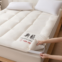 2025�½��޻����|��������W�������ۯB�Ӻ�|������-�󴲿�