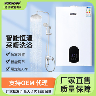 German Opus Gas Wall-Mounted Boiler, Hot Water Circulation Heating Furnace, Floor Heating Furnace, Radiator, Dual-Use for Bathing