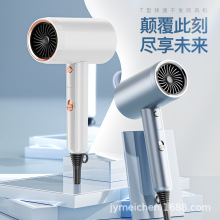 跨境爆款T形吹风机110V/220V/230V发廊专业吹风筒TEMU代发大功率