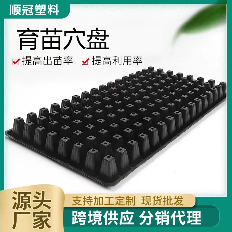 跨境亚马逊育苗盒48孔24孔育苗盘园艺种植育苗盆蔬菜种子育秧盘