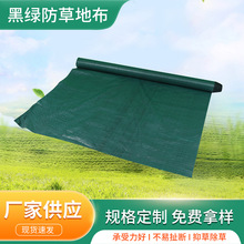 ���ݲ����ݲ��ھGɫpp90g���l�ڲ�͸ˮ͸��G��ͥԺ�@����������