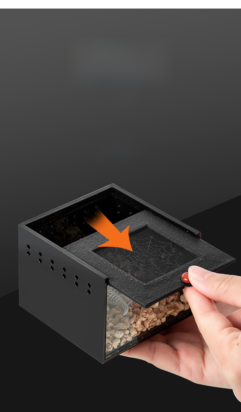 Reptile Habitat Box 4