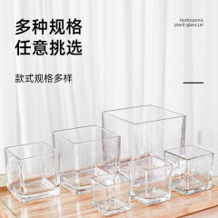 水培郁金香花盆正方形玻璃花瓶透明绿萝水养植物乌龟方缸摆件插花