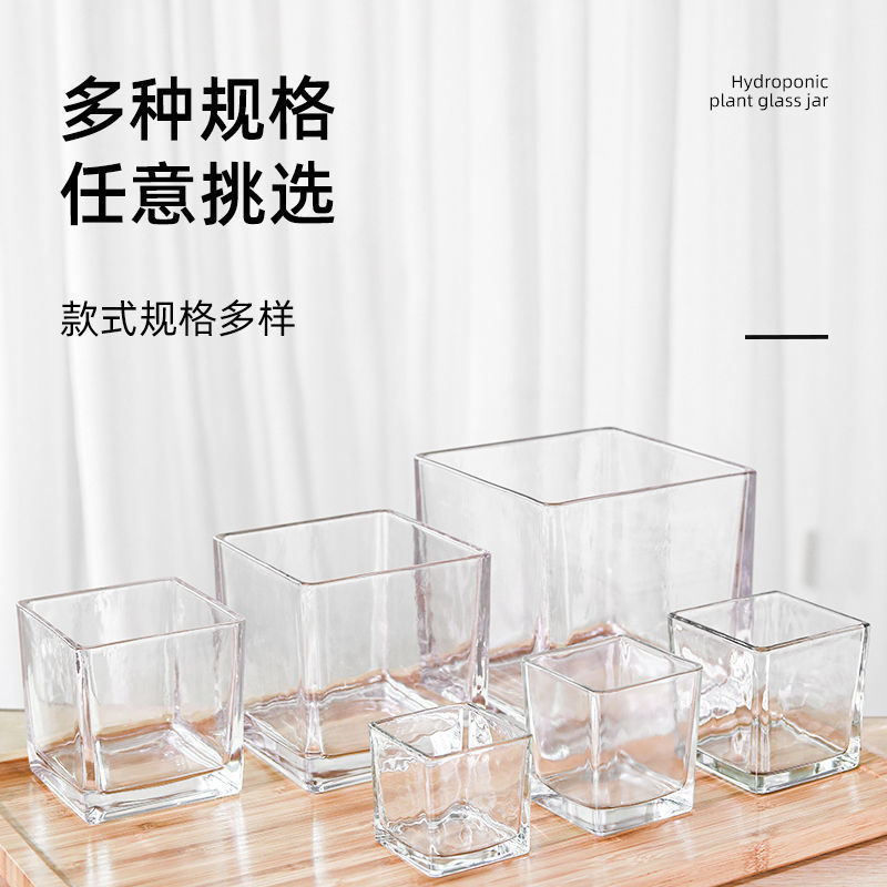 水培郁金香花盆正方形玻璃花瓶透明绿萝水养植物乌龟方缸摆件插花|undefined