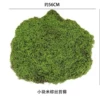Small piece of rice brown silk moss
