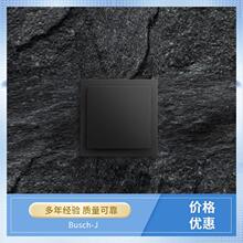 Busch-Jaeger ���������˶������ 2CCF019541R0001 3558-A52340