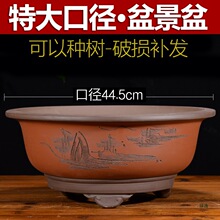 ��ɰ�ش�ڏ��A������䘶���������Ի���͏d�҃��̨�N��N����