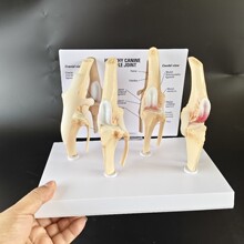 ���A��ϥ�P�����°�p ������ģ��Ȯ�P���g��������ʾ���Ǽ�Ȯ��