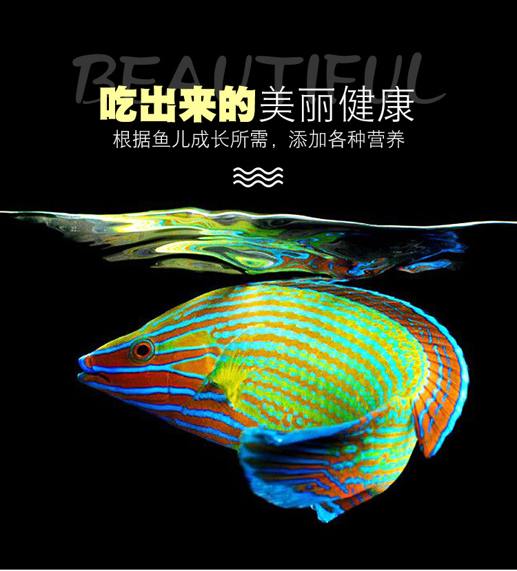 详情图