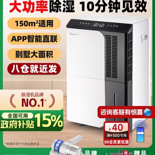 Free Shipping Dehumidifier Household Basement High-Power Industrial Dehumidifier House Moisture Absorption Dehumidifier Dyd-D5