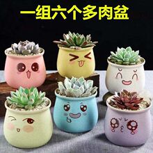 ?���⻨���մɿ�ͨ�ɐۄ����ڏ�����С����͸����⻨