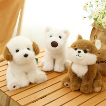 ϵйëqߵȮпɐ۴С܇dż