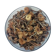 Ұ���Ģ�|���ݹ��خaĢ��������500g؛�L��ɽ��Ģ��Ģ�㹽��Ģ��