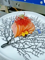 K9HX wholesale sashimi plate decoration hotel plate decoration flowers and plants simulated coral tree sushi dishes cold dishes plate order