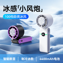 2025�����ֳַ��Ȱ뵼���������澲����������С���Ȼ��ⳤ����