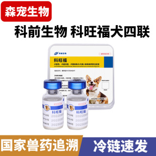 ��ǰ������С���������A���Ȯ����С���в�����Ȯ��Ȯ��������