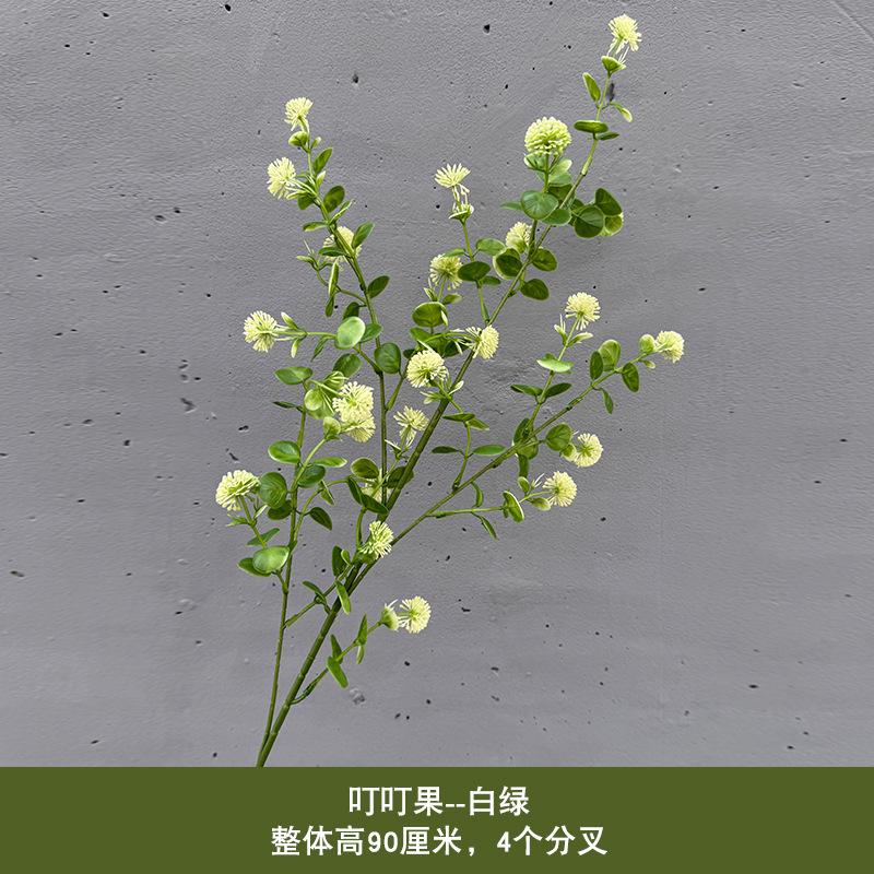 딩딩 과일 - 흰색 녹색