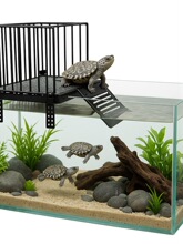 ������̨����ˮ�����h��ˮλ�񱳸�̨�����~�ײ��P���̨�e��