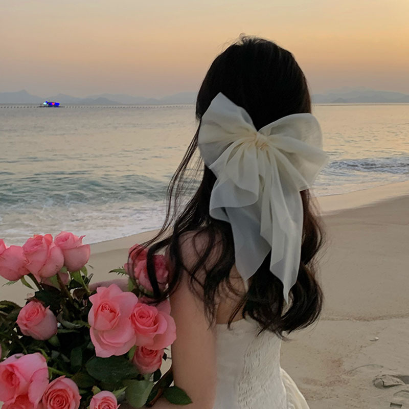 白い網の糸の大きい蝶結びの髪のクリップの女性の後頭部の頭の飾りのトップクリップの領収書の新婦のカードの旅行は髪飾りを撮ります。|undefined