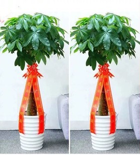 ���;Gֲֲ����_�I�lؔ����w�k�����҃Ȳ������Lɳ���Կ͏d