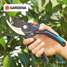 德国进口嘉丁拿修枝剪园艺专用剪刀果树修剪树枝剪刀园林工具铁名