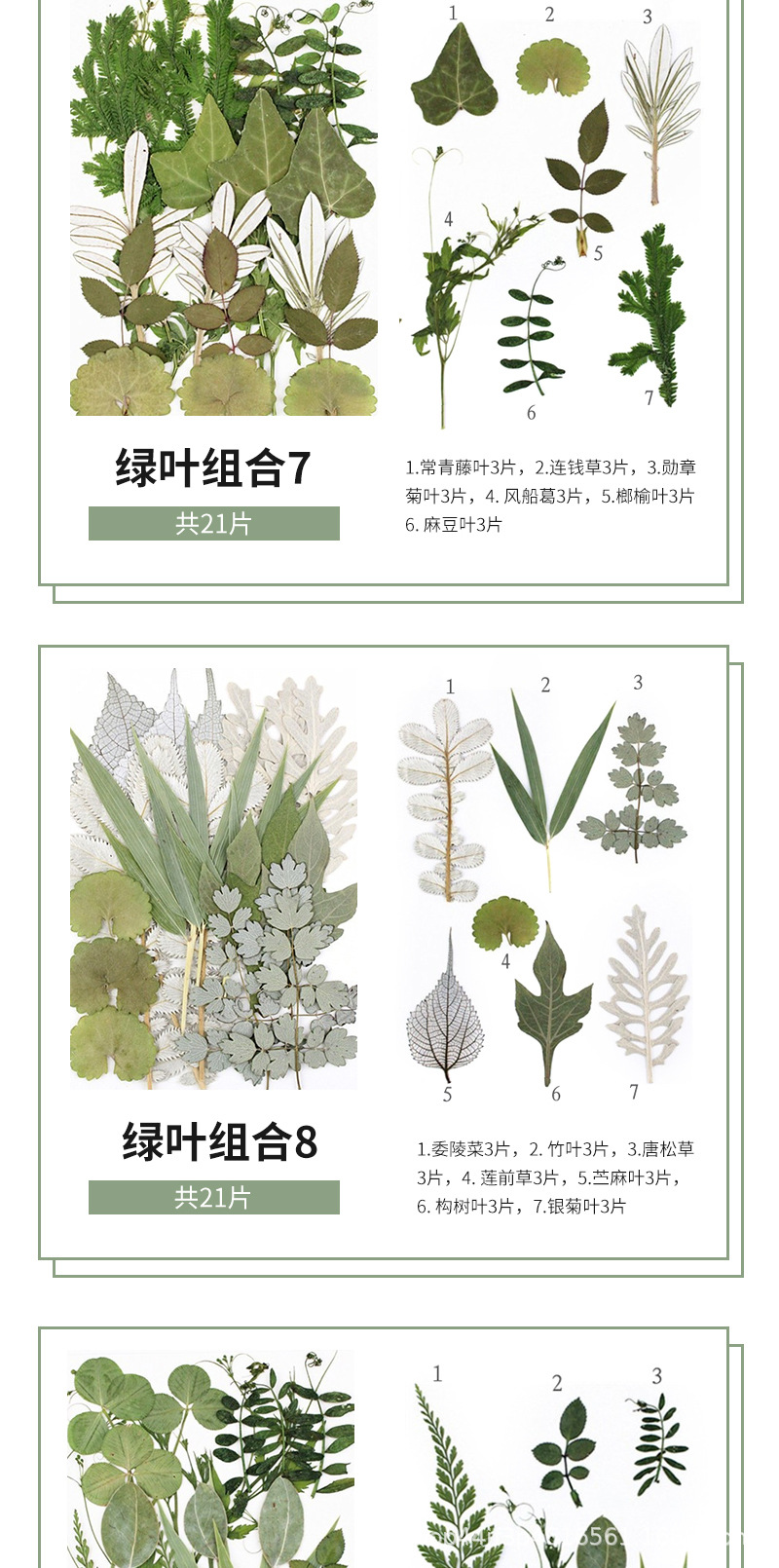 详情页_09.jpg