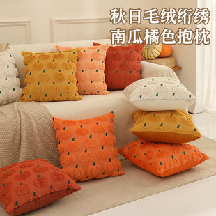 �羳�F؛�¿���ë�q�W���Ϲ���ɫ�����������|��ɳ�l�b��|��