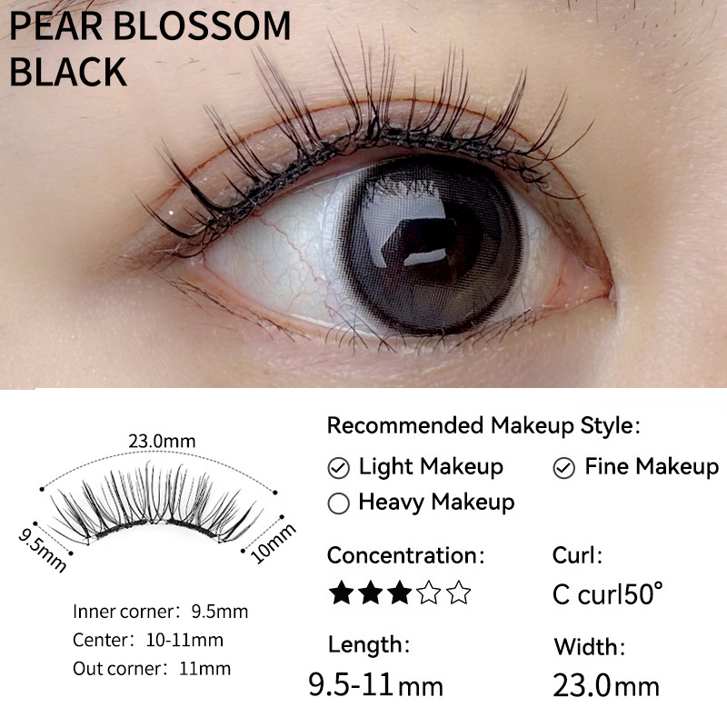 【배꽃 블랙】-확장 버전-【올인원 박스】