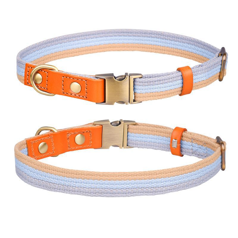 삼색 벨트: 파란색