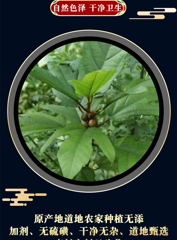 Wu Zhi Mao Tao Five-Finger Fig Root 500g Dried Hairy Fig Root for Soup and Herbal Decoction key features