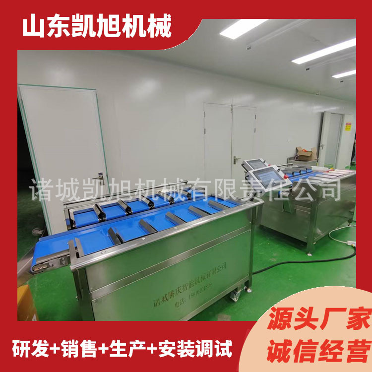Multifunctional Chicken Breast Quantitative Weighing Machine Food Packaging Quantitative Scale Automatic Combination Scale by Target Weight