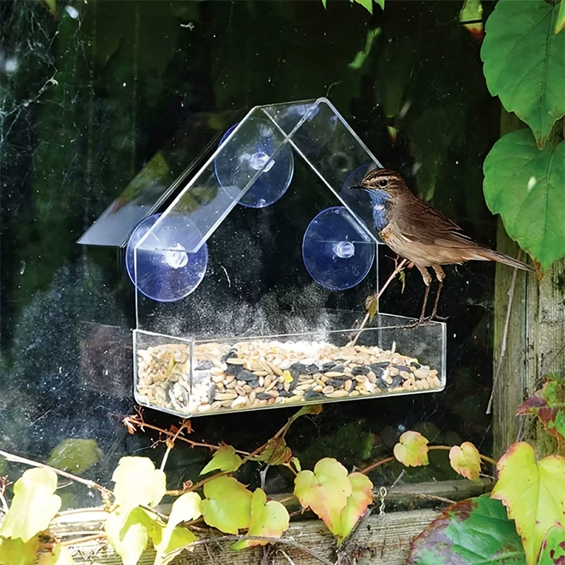 Spot Ackli Bird Cage Free Porch Porching Bird Fedrior Transparent Wall -Mid -Hanging Feed Pet Products