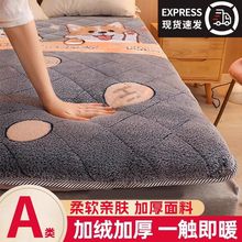 ﶬţ̽qüӺů|ͨqܛ|ܛ