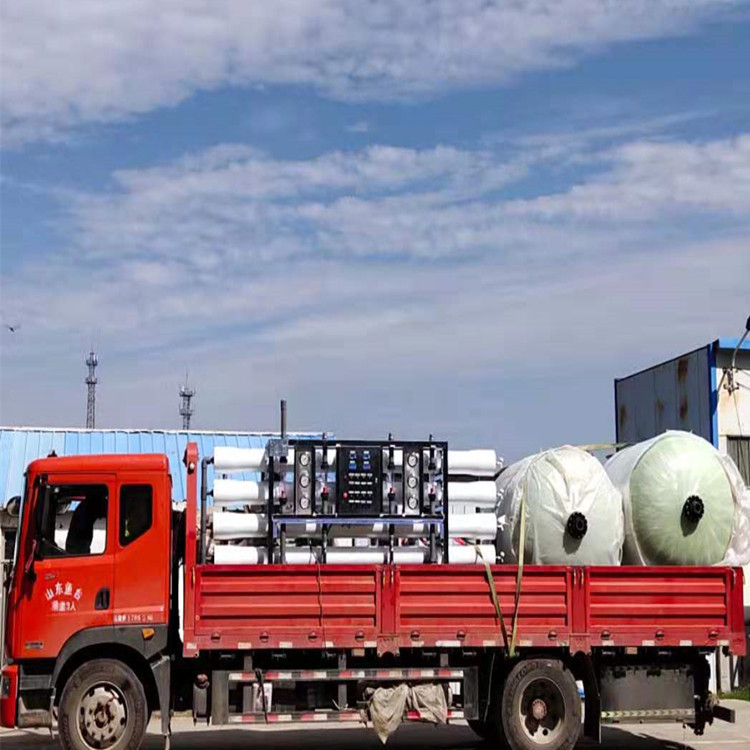 8吨双级反渗透纯净水设备 胜王水处理 大型商用去离子软化