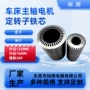 125-76-36p主轴定转子冲片