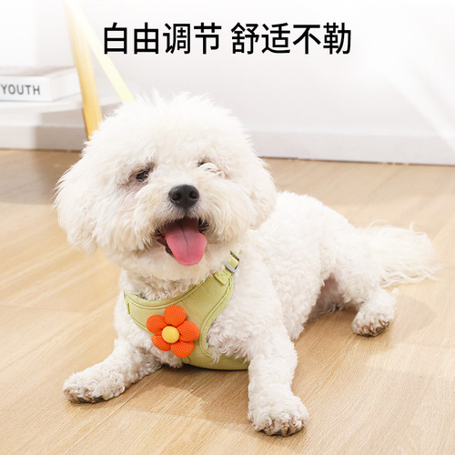 Pipitao petal harness pet leash cat puppy dog ​​leash leash supplies dog leash